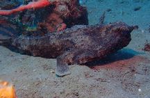 Champagne Reef, Bubble Beach and Scotts Head Snorkeling tour by boat in Dominica