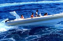 Private Speedboat Trip To Dolphin House In Hurghada