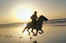 Horse riding at sunset for 2 hours