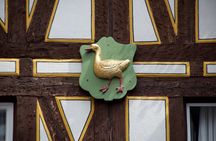 2 Hour Private Guided Family Walking Tour in Mainz 