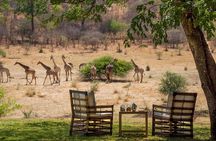 Kruger National Park Best Tour