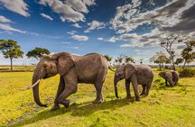 Private 3-Day Masai Mara Safari Adventure