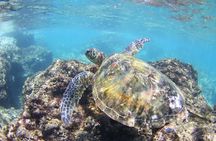 North Shore Stand-Up Paddleboard Lesson