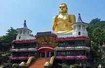 Sigiriya and Dambulla Private Day Tour 