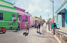 Full Day Private Walk to Freedom & Robben Island
