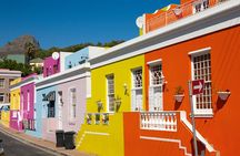 Full Day Private Walk to Freedom & Robben Island