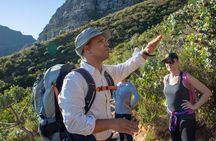 Full Day Private Hiking Table Mountain & City