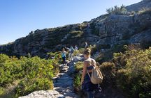 Full Day Private Hiking Table Mountain & City