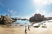 Full Day Private Sea Kayaking & Cape Point