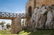 Private Tour: Full-Day Islamic Desert Castles and Ajloun Castle Trip from Amman