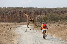 Hell's Gate National Park Private Bike Tour from Nairobi