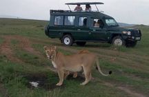 6-Day Safari to Samburu, Lake Nakuru & Masai Mara