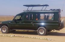 6-Day Safari to Samburu, Lake Nakuru & Masai Mara