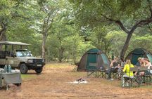 2 Day 1 Night Chobe Safari ex Livingstone/Victoria Falls