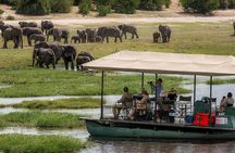 2 Day 1 Night Chobe Safari ex Livingstone/Victoria Falls