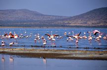 2Days Great Rift Valley Lakes ,megalithic Site Tiya & Addadi Mariam
