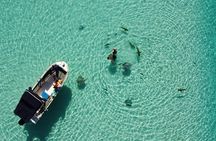 Snorkeling excursion, discovery of the lagoon, small group.