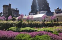 City Highlights, Larnach Castle & Peninsula Views