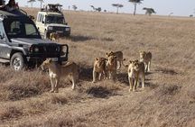 3 Days Maasai Mara Small Group Safari in a 4 x4 Land Cruiser Jeep