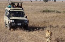 3 Days Maasai Mara Small Group Safari in a 4 x4 Land Cruiser Jeep