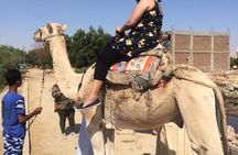Best of Egypt: 7-Nights Cairo, Aswan, Luxor and Nile Cruise with Flights