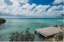 Aruba PADI Scuba Diving Program Non Certified Divers