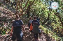 Village Tours Around Mussoorie - A Full day Hike to Kanda Jhak