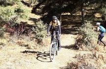 Cycling Across The Thimphu Valley