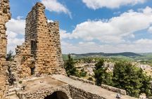 Private Tour to Jerash, Ajloun, and Pella from Amman 