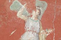 Private Tour with Official Guide through the wonders of Pompeii.