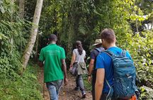 Three-day Nyungwe Canopy and Kivu Lake Adventure