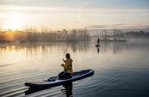 Sunrise or sunset SUP/kayak Adventure in the bog from Riga