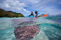 Eco guided excursion to the lagoon of Moorea in transparent kayak 1/2 day morning