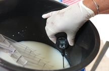 Private Farmhouse Cheesemaking Workshop