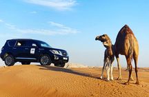 Desert Safari With BBQ Dinner, Quad Bike & Camel Ride from Dubai