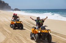 Cabo ATV and Camel Ride Combo Migriño Adventure