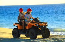 Cabo ATV and Camel Ride Combo Migriño Adventure