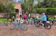 Historical Bicycle Tour of Dunedin