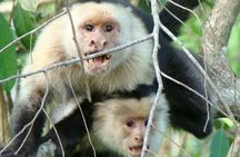 Bird-Watching and Wildlife Tour