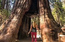 Yosemite 3-Day Camping Adventure from San Francisco