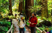 Muir Woods with Napa & Sonoma Wine Tour + Alcatraz Tour & Aquarium Access
