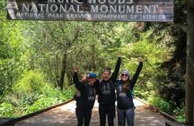 Muir Woods and Sausalito + Ferry, Alcatraz Night Tour & Aquarium Access