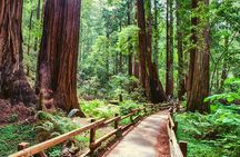 Muir Woods and Sausalito + Ferry, Alcatraz Night Tour & Aquarium Access