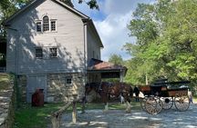 Horse and Carriage Ride through Moses H. Cone Park