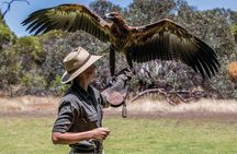 One Day Kangaroo Island Sip & See tour with return ferry transfers from Adelaide