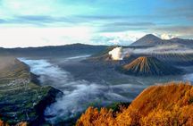 4 Days Overland Bali Ijen Bromo and Tumpaksewu - Private Tour