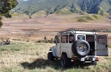 1Day - Bromo Non Sunrise Tour via Malang (to avoid crowd)