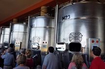 Exclusive Pisa and Wine Tour