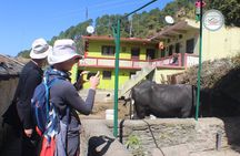 Discover Mussoorie: Private Guided Sightseeing Tour of Mussoorie