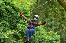 Rainforest Canopy Adventure Pacific